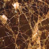 имперадор 3